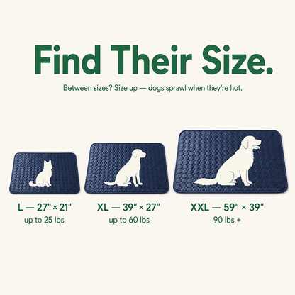 ChillCalm size guide in inches