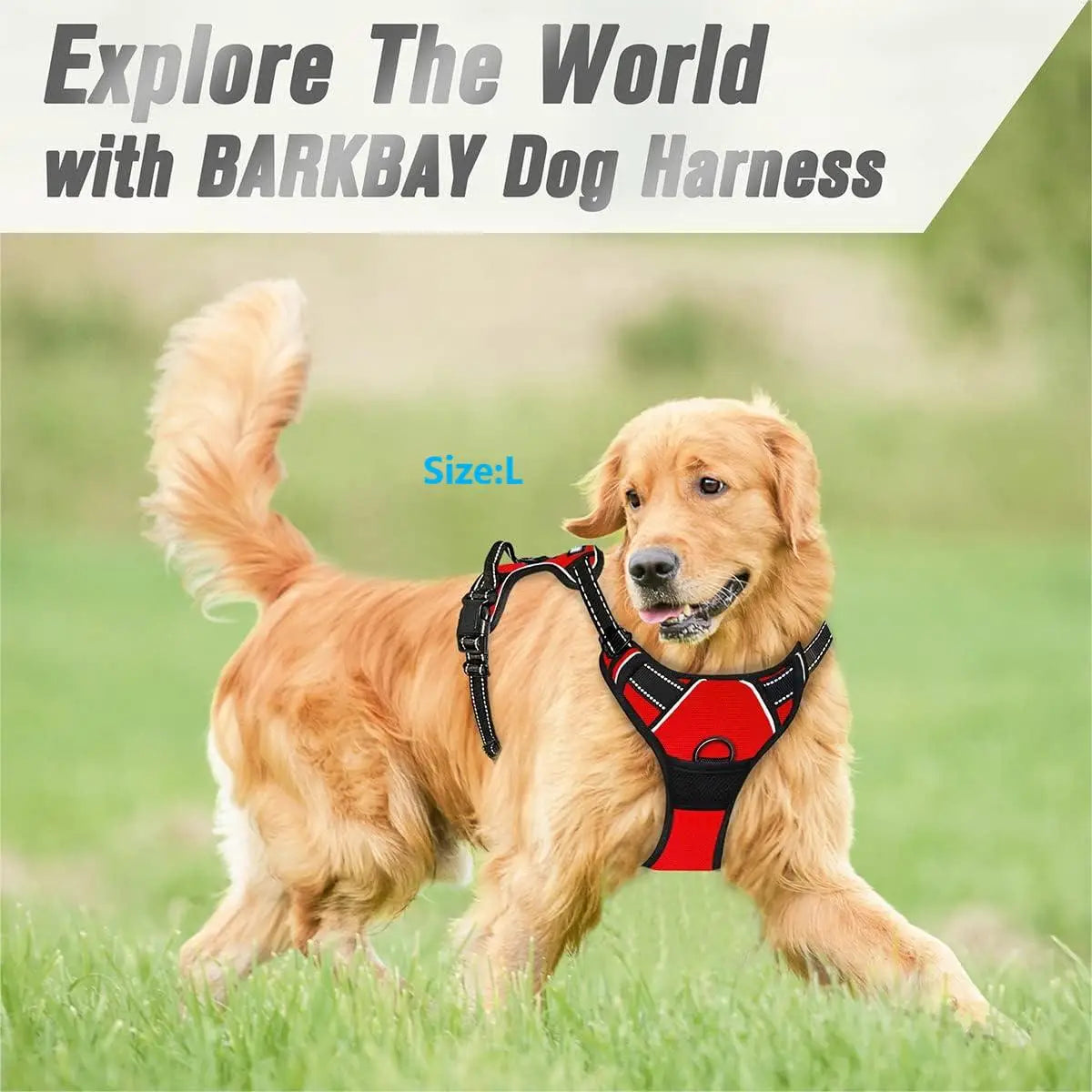 Pawsper EasyWalk Harness™